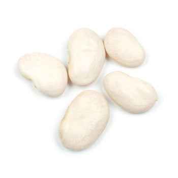 D'Allesandro Peruvian Lima Beans 10lb