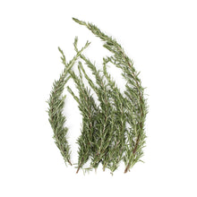 Wholesale BoxNCase Rosemary- Bulk