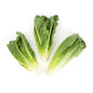 Wholesale BoxNCase Romaine Hearts- Bulk