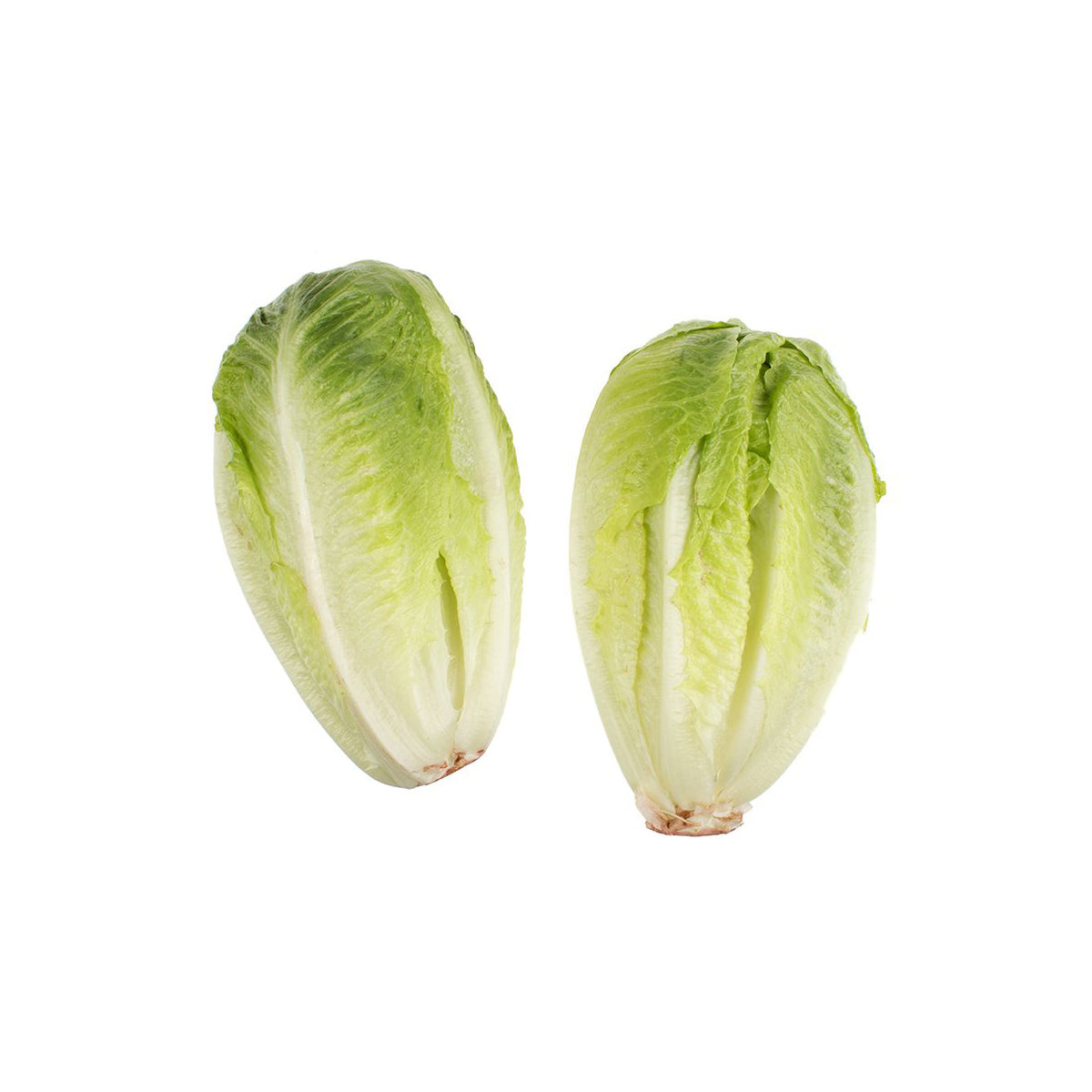 Wholesale Tanimura & Antle Baby Romaine Hearts-24 CT Bulk