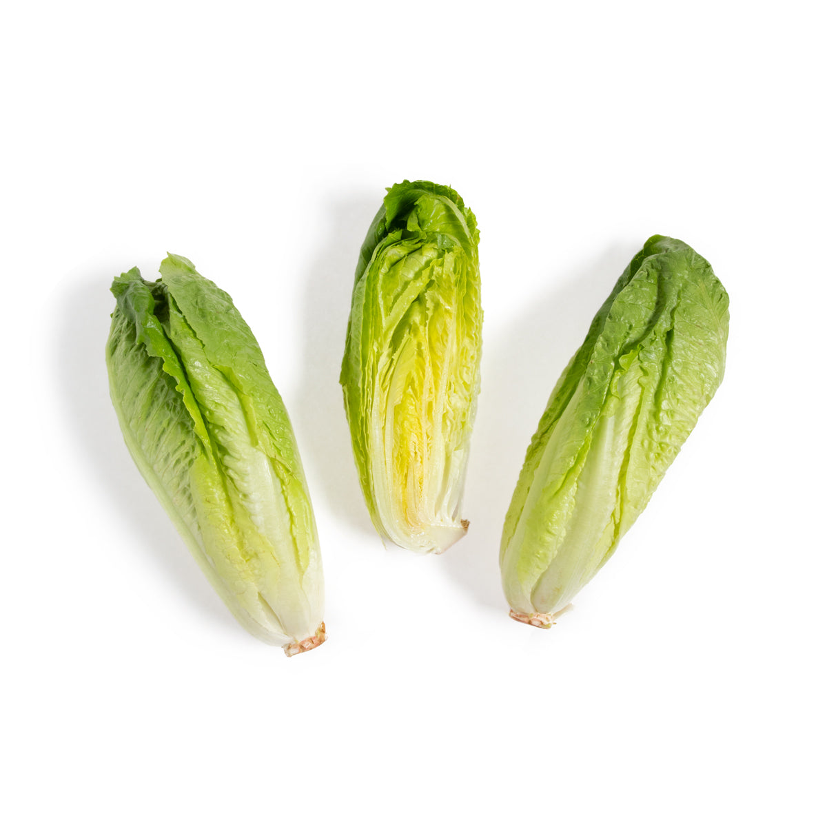Wholesale Hitchcock Farms Hearts of Romaine-20 LB Bulk