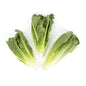 Wholesale D'Arrigo Andy Boy Romaine Hearts 3 CT- Bulk