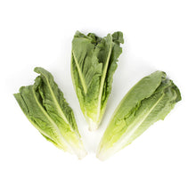 Wholesale D'Arrigo Organic Andy Boy Romaine Hearts 18 Oz Bag- Bulk