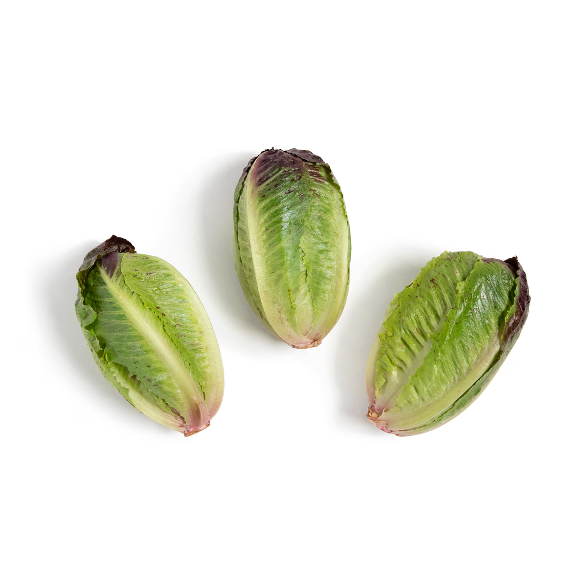 Babe Farms Ruby Ro-minis Romaine Lettuce