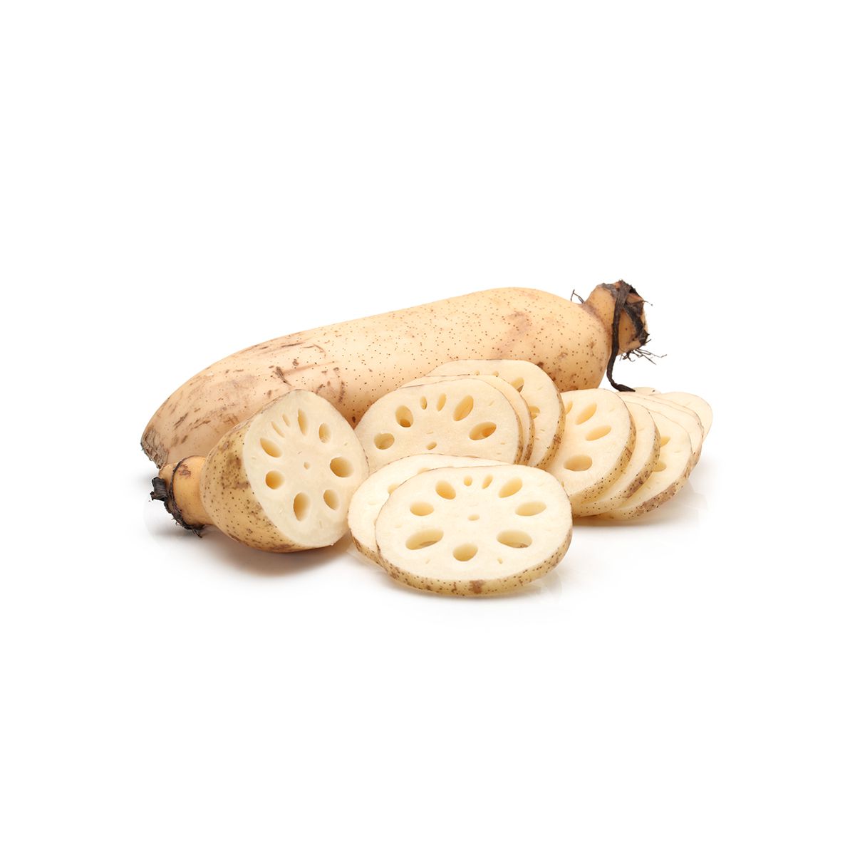 Wholesale BoxNCase Lotus Root Case- Bulk