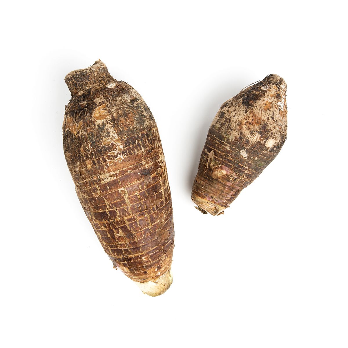 Wholesale BoxNCase Taro Root- Bulk