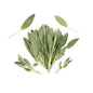 Wholesale BoxNCase Sage-1 LB Bulk