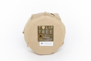 Wholesale Tulip Tree Hops Beer Cheese-1Ct Case Bulk