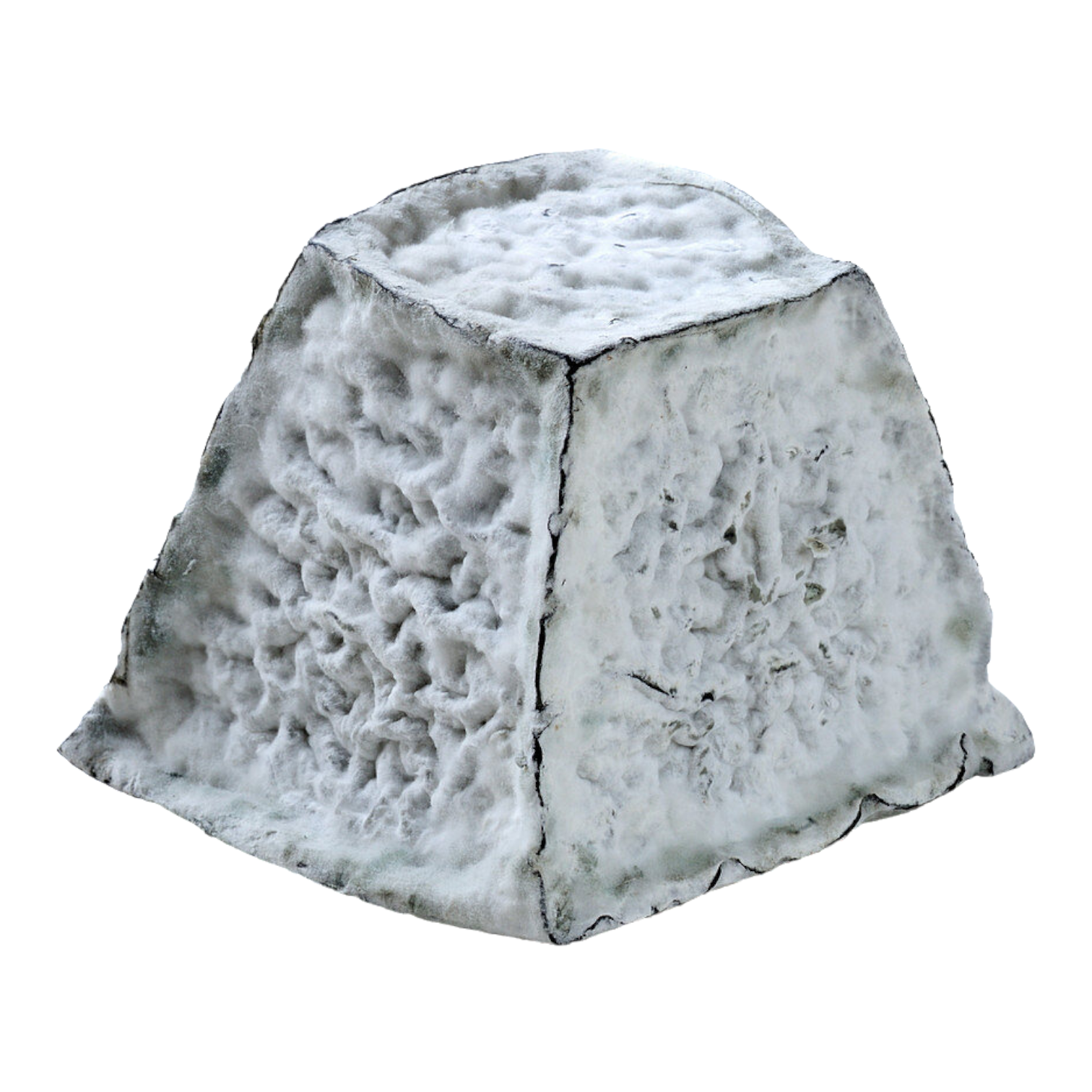 Jacquin Aged Valencay Pyramid Goat Cheese 9oz 6ct