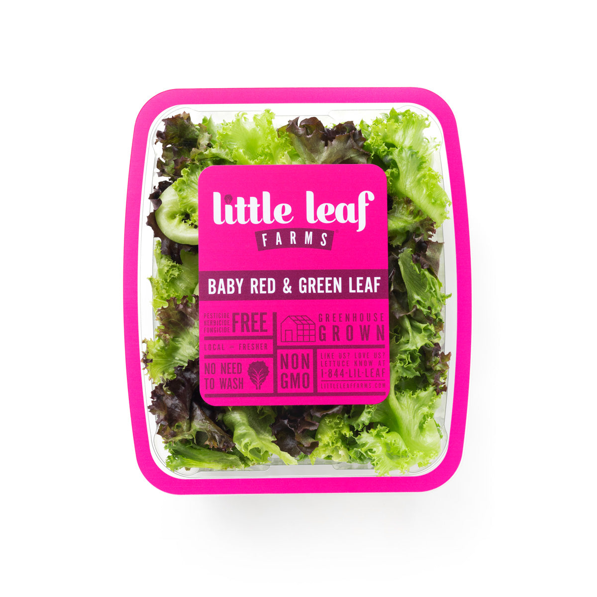 Wholesale Little Leaf Farms Baby Red & Green Leaf 4 OZ- Bulk