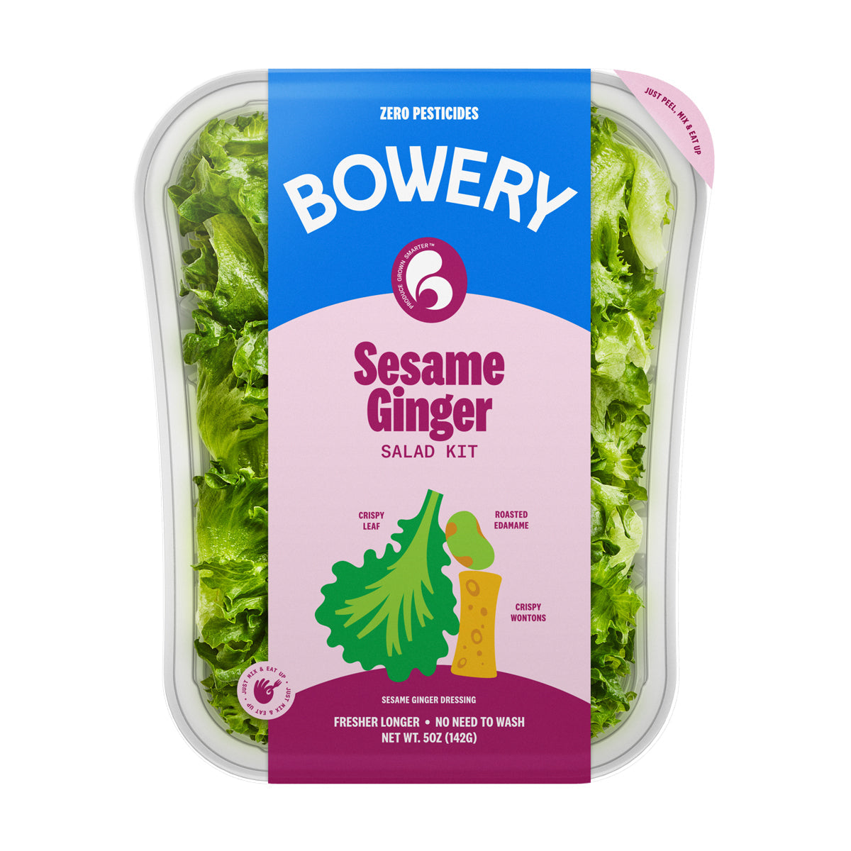 Bowery Sesame Ginger Salad Kit 50z