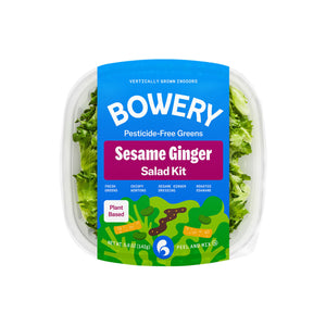 Wholesale Bowery Sesame Ginger Salad Kit 50z-6ct Case Bulk