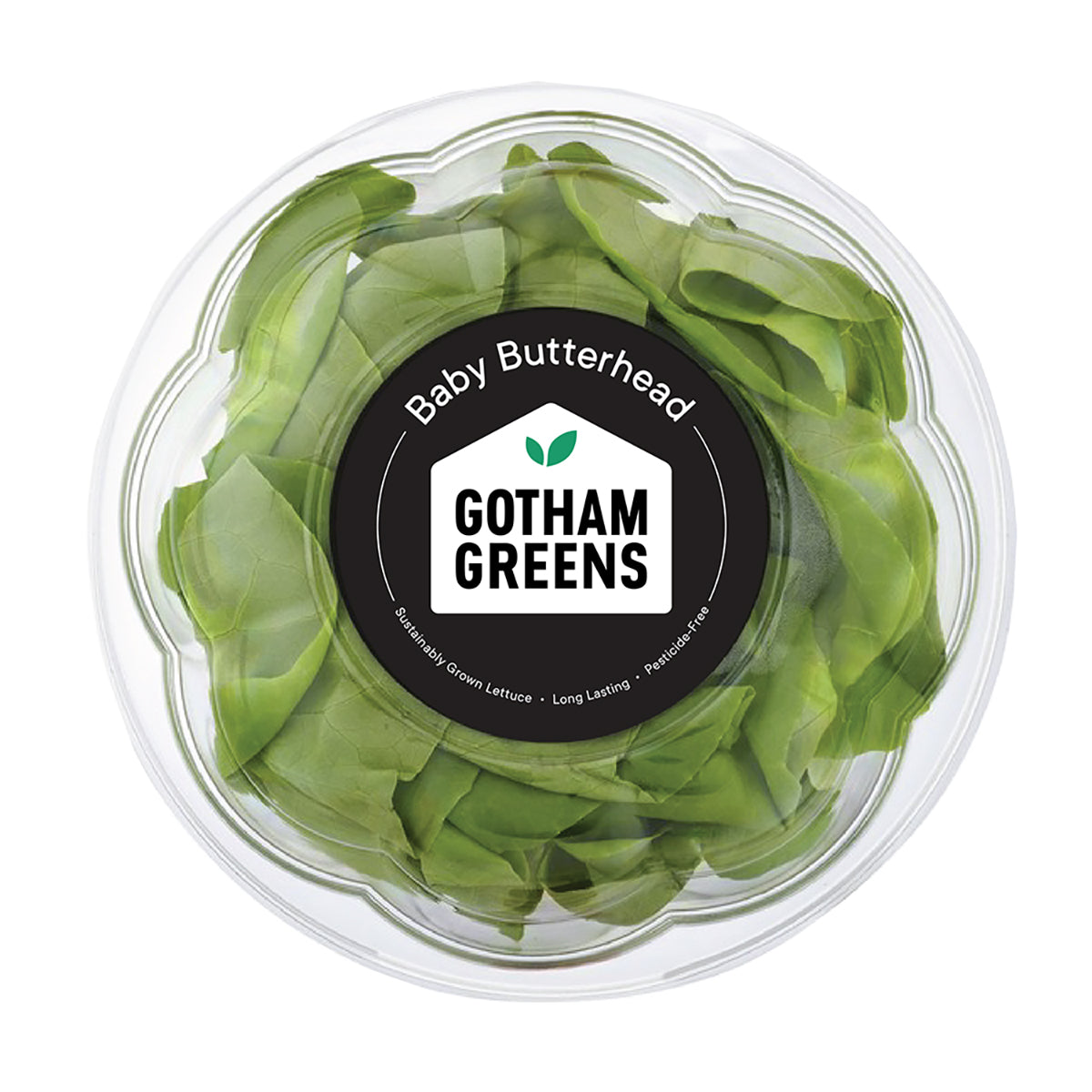 Gotham Greens Baby Butterhead Lettuce 1 EA