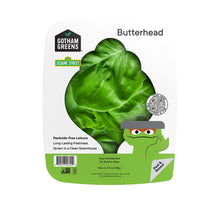 Wholesale Gotham Greens Butterhead Lettuce 4.5 OZ- Bulk