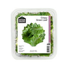 Wholesale Gotham Greens Crispy Green Leaf Lettuce 4.5 OZ- Bulk