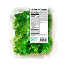 Wholesale Gotham Greens Caesar Salad Kit 6.35 Oz 6 Ct Case- Bulk