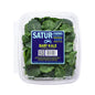 Wholesale Satur Farms Baby Green Kale 5 OZ- Bulk