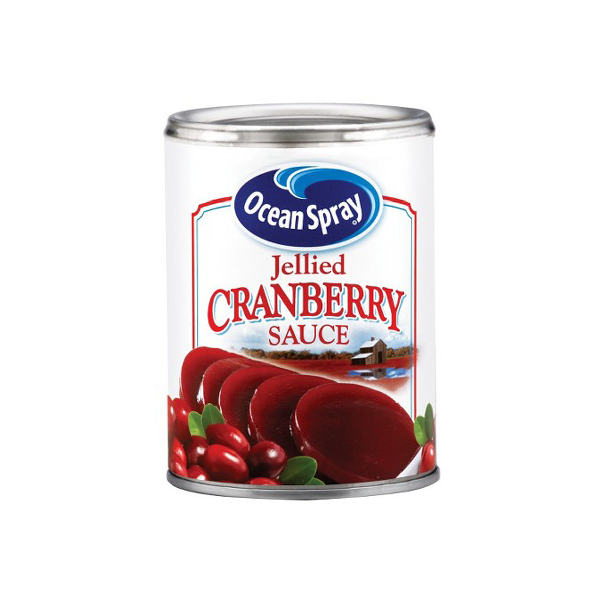 Ocean Spray Jellied Cranberry Sauce 15 OZ
