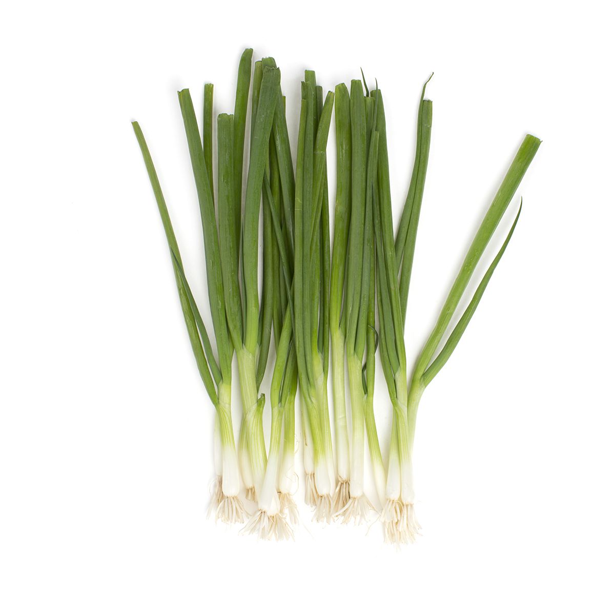 Wholesale BoxNCase Scallions 12 CT-2ct Case Bulk