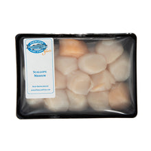 Wholesale Pierless Fish Wild Caught Sea Scallops 10/20- Bulk