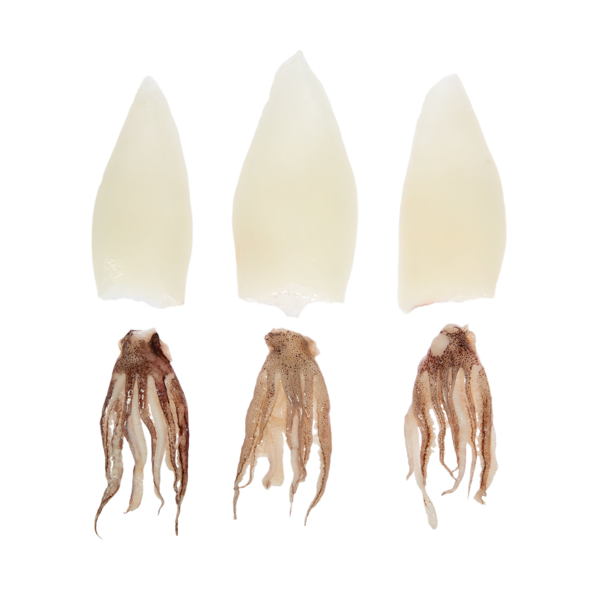 Wholesale Vigo Premium Imported Canned Seafood Jumbo Squid in Olive Oil 4oz 12ct- Bulk