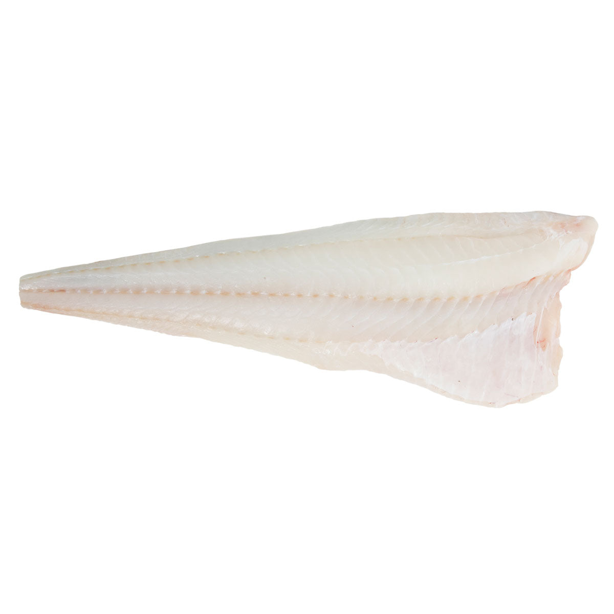 Wholesale Pierless Fish Farm Raised PBO Skinless Cod Side-4 LB Bulk