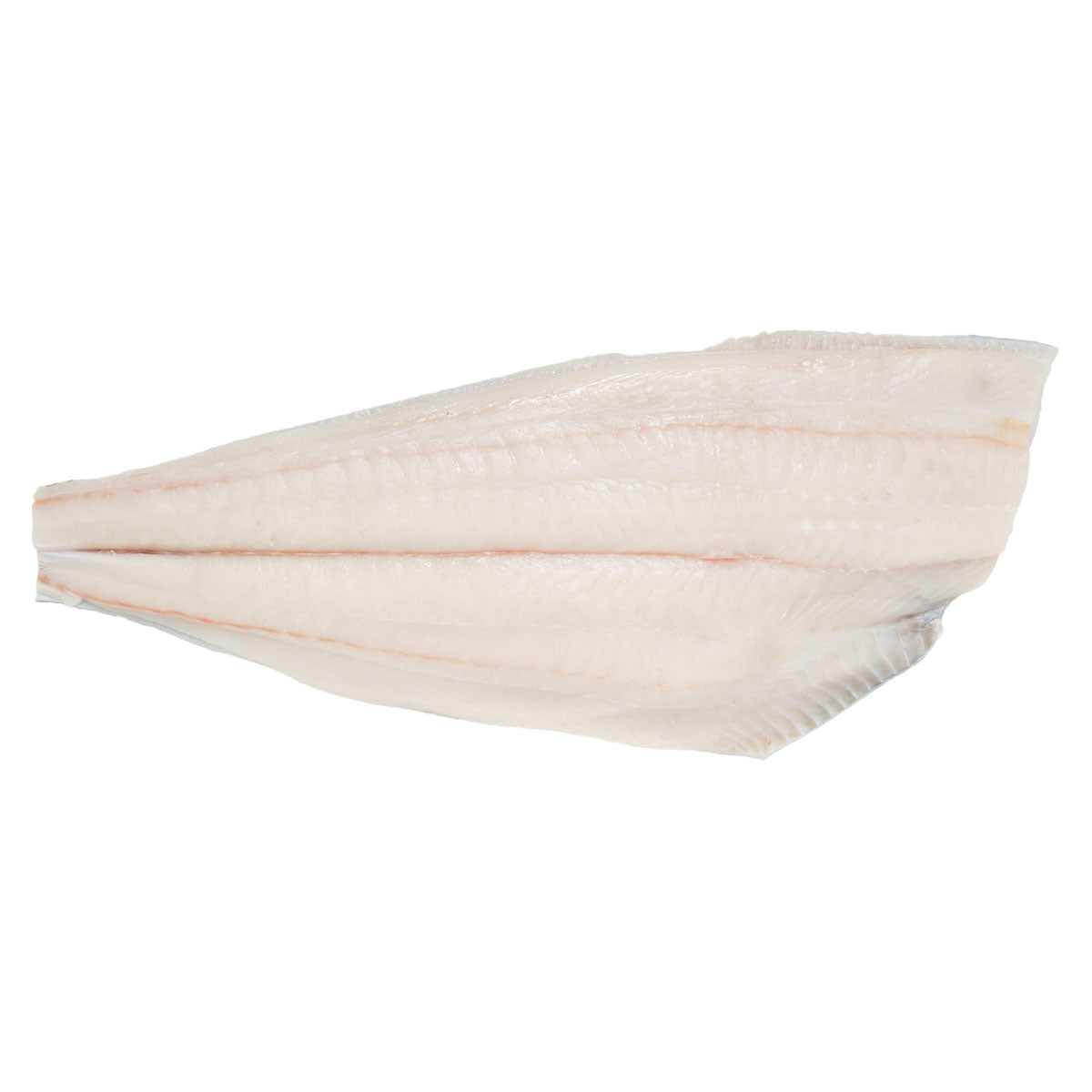 Wholesale Pierless Fish Wild Caught Halibut Side-15 LB Bulk