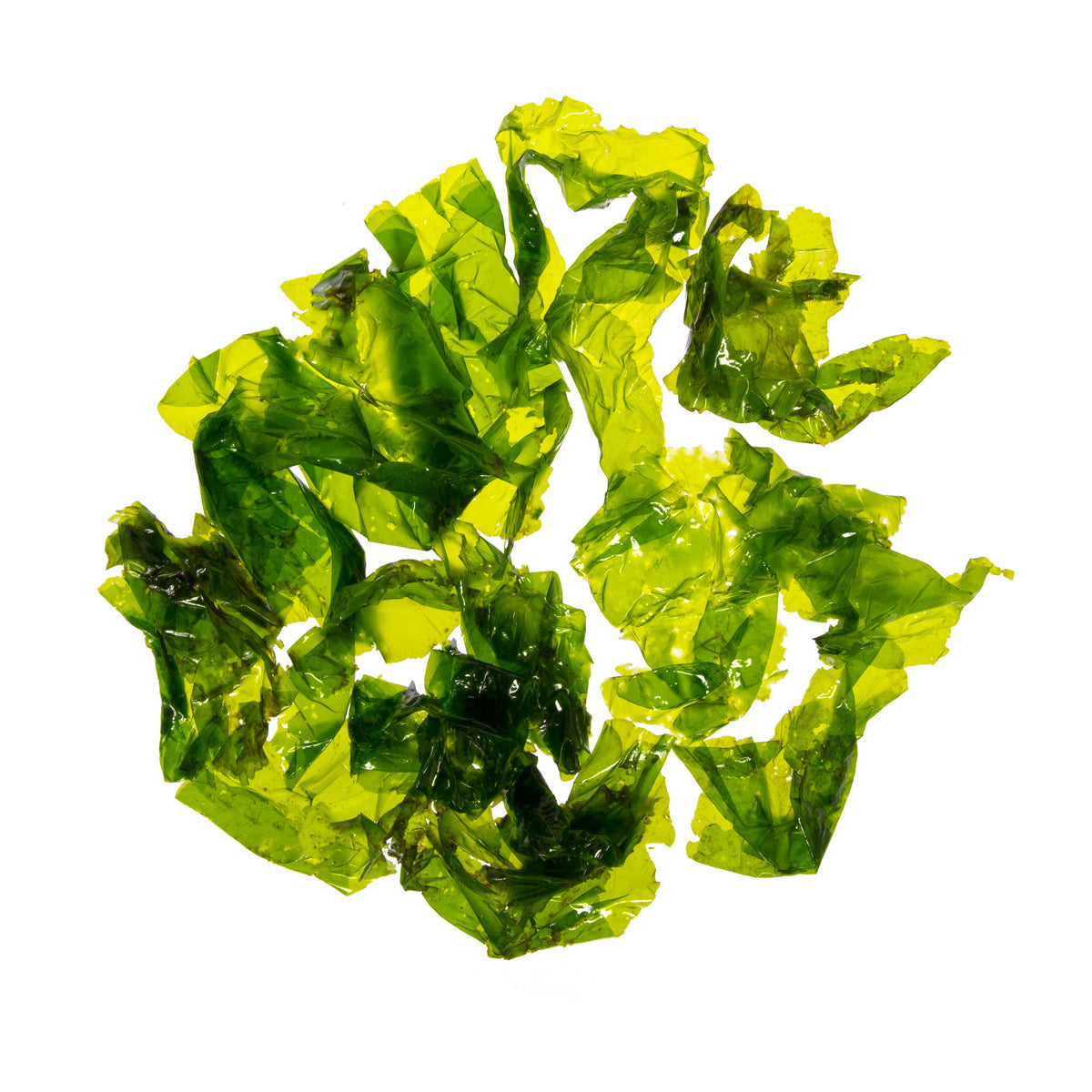 Wholesale Monterey Bay Seaweed Company Sea Lettuce-8 OZ Bulk