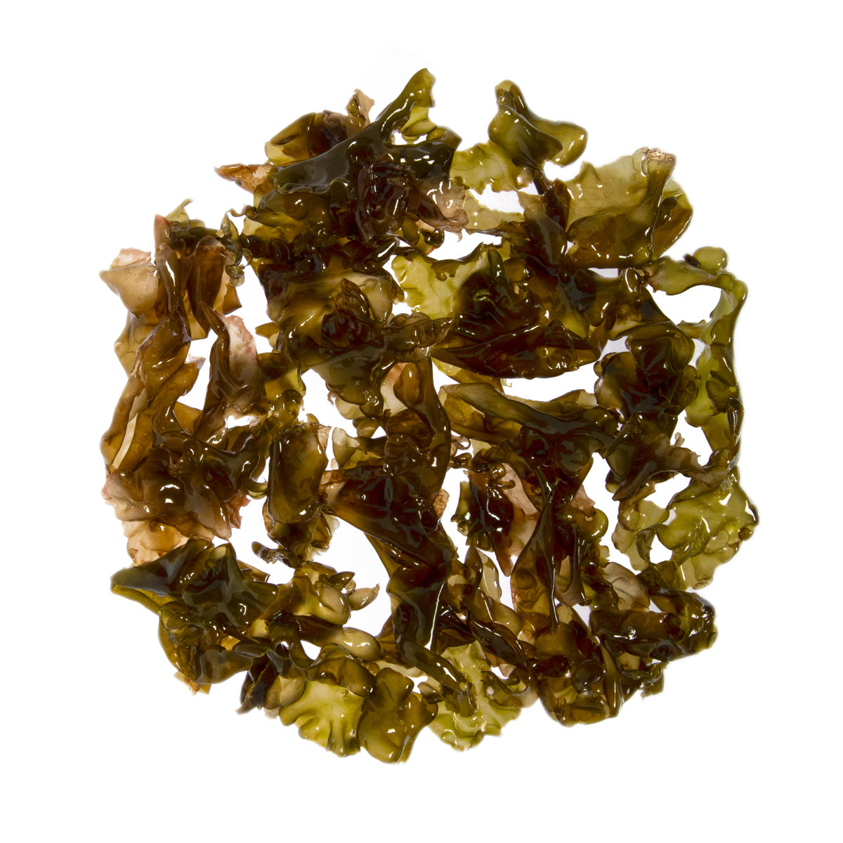 Wholesale Monterey Bay Seaweed Company Nori Seaweed-8 OZ Bulk