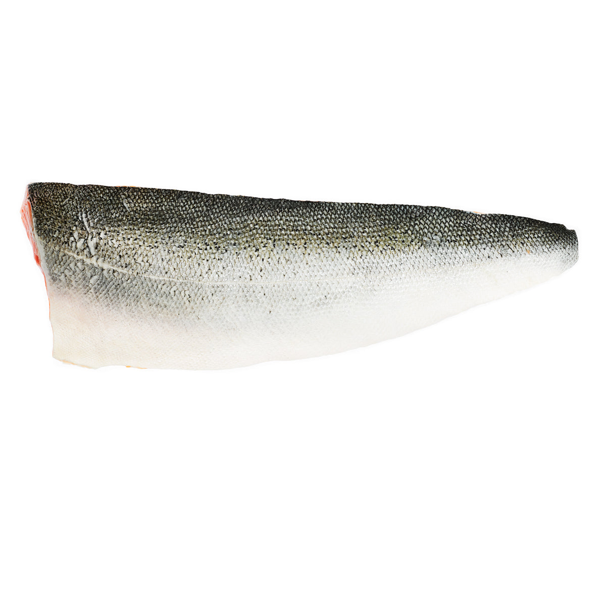 Wholesale Pierless Fish Skin On Pinbone Out Farmed Scottish Salmon Filet- Bulk