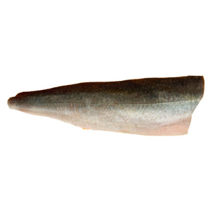 Wholesale Pierless Fish Farm Raised PBO Scottish Salmon Side-5 LB Bulk