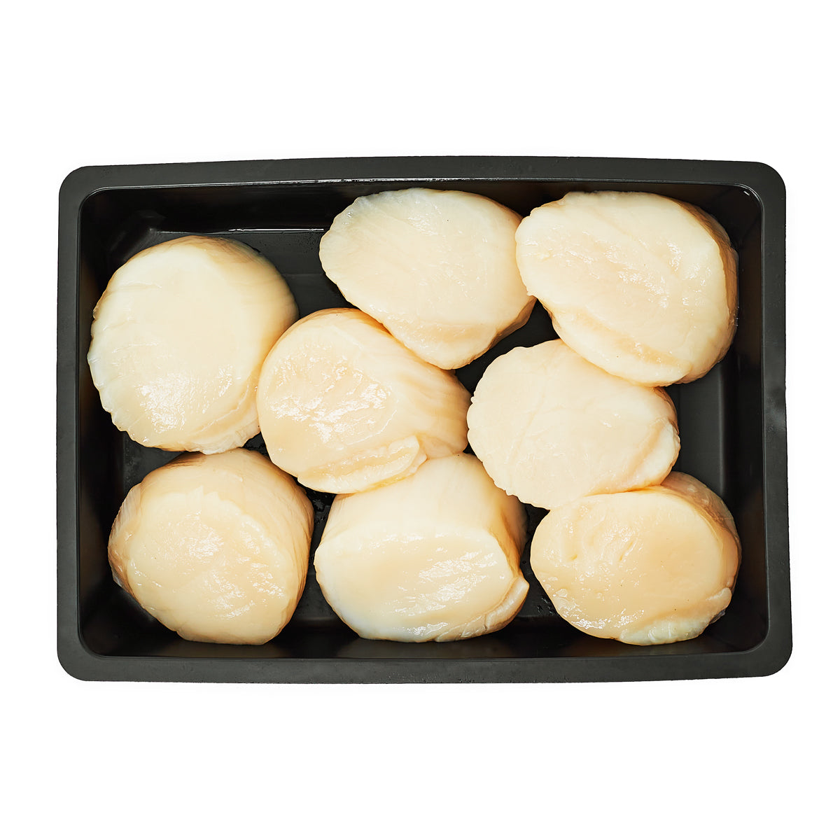 Wholesale Pierless Fish Wild Hokkaido Scallops U10- Bulk