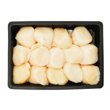 Wholesale Pierless Fish Wild Hokkaido Scallops 10/20- Bulk