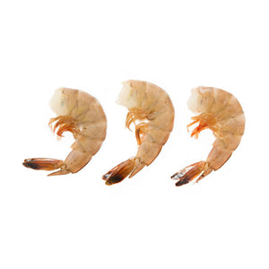 Wholesale Pierless Fish Wild Caught Shell On Atlantic White Shrimp 16 - 20-1 LB Bulk