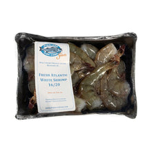 Wholesale Pierless Fish Wild Caught Shell On Atlantic White Shrimp 16 - 20- Bulk