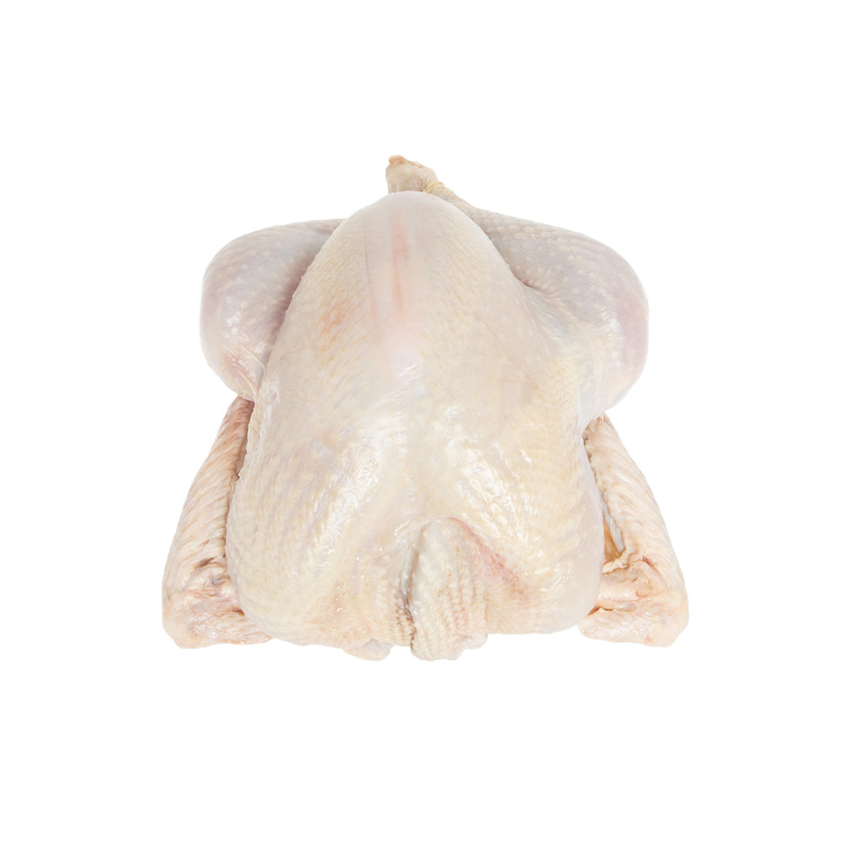 Wholesale Koch'S Turkey ABF Organic Whole Turkey 12-14 LB- Bulk