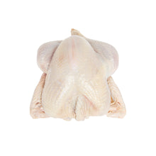 Wholesale Koch'S Turkey ABF Organic Whole Turkey 12-14 LB- Bulk