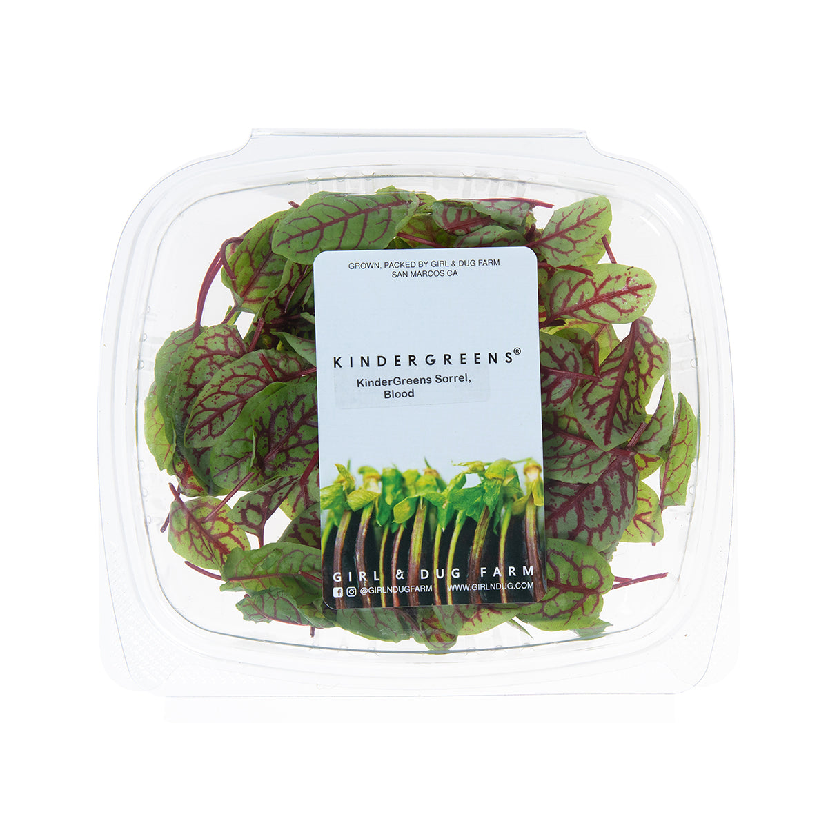 Wholesale Girl & Dug Farm KinderGreens® Blood Sorrel- Bulk