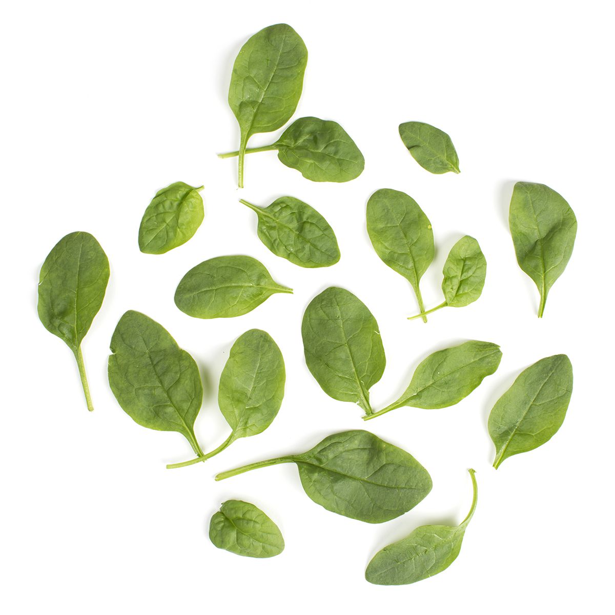 BoxNCase Triple Washed Spinach 2.5 LB