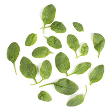 Wholesale BoxNCase Triple Washed Spinach 2.5 LB- Bulk