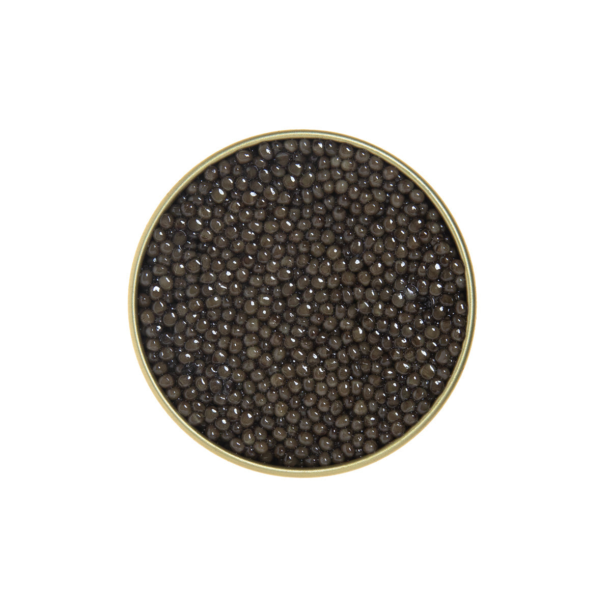 Wholesale Antonius Polish Osetra Sturgeon Caviar- Bulk