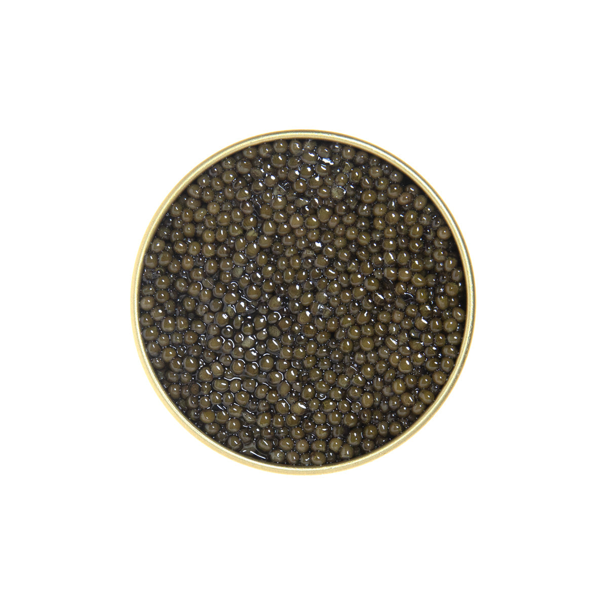Wholesale BoxNCase Polish Siberian Sturgeon Caviar- Bulk