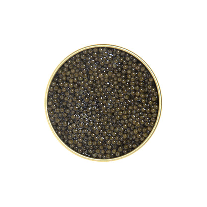 Wholesale BoxNCase Polish Siberian Sturgeon Caviar- Bulk