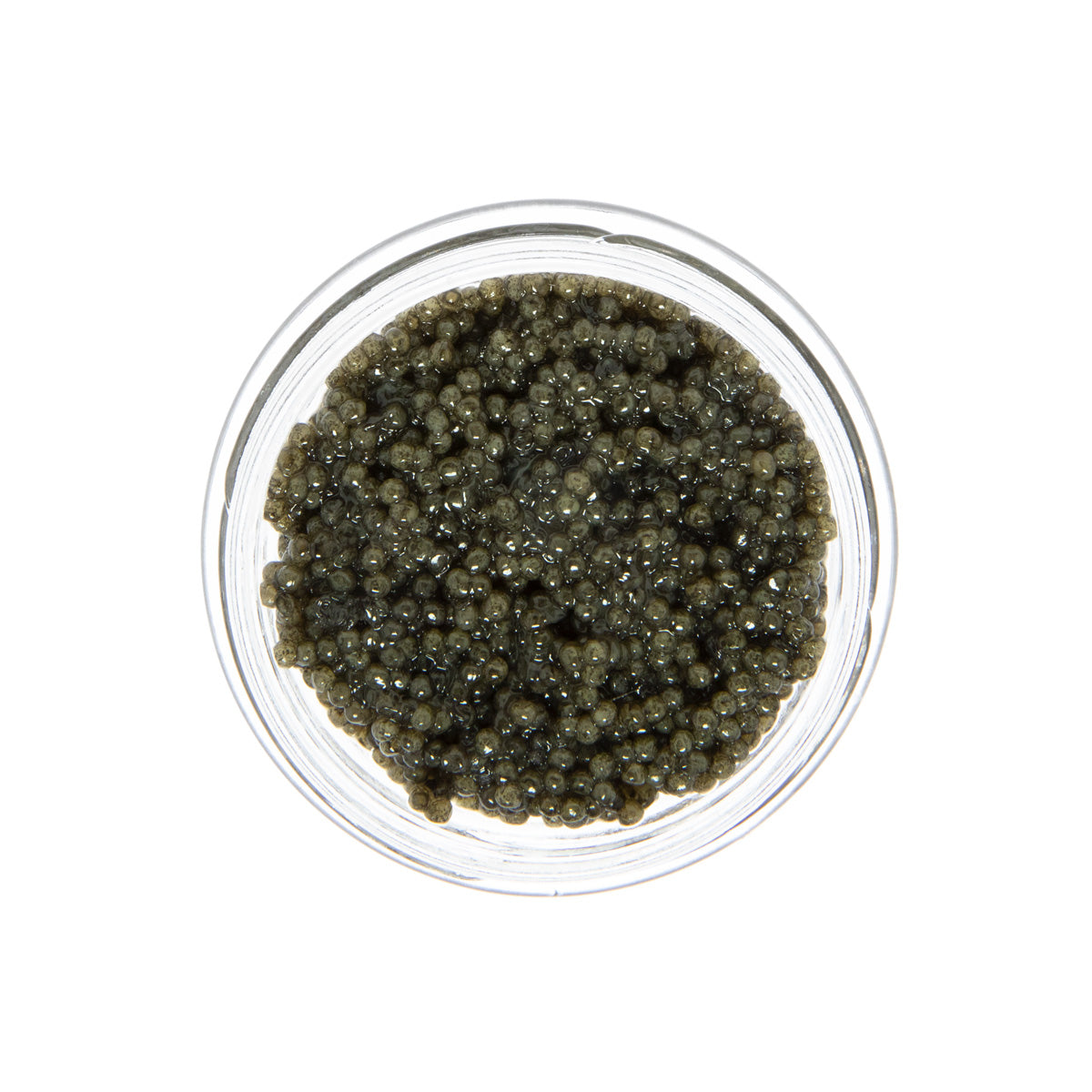Caviar Star American Wild Paddlefish Roe