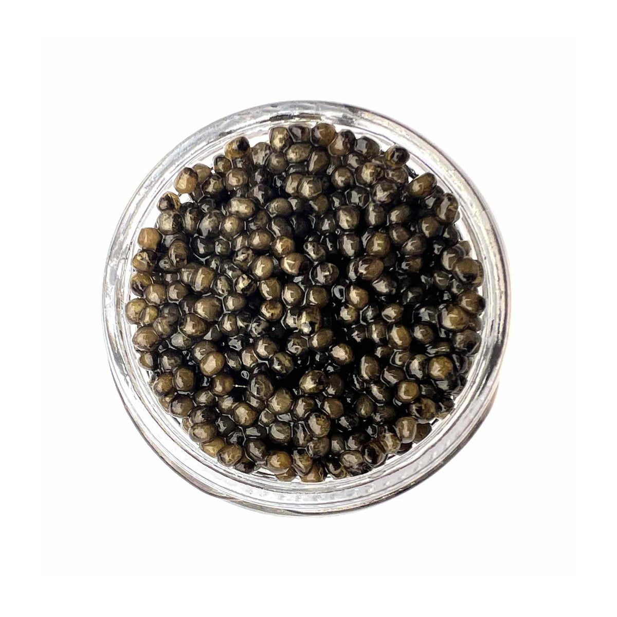 Wholesale Caviar Star French Osetra Sturgeon Caviar- Bulk