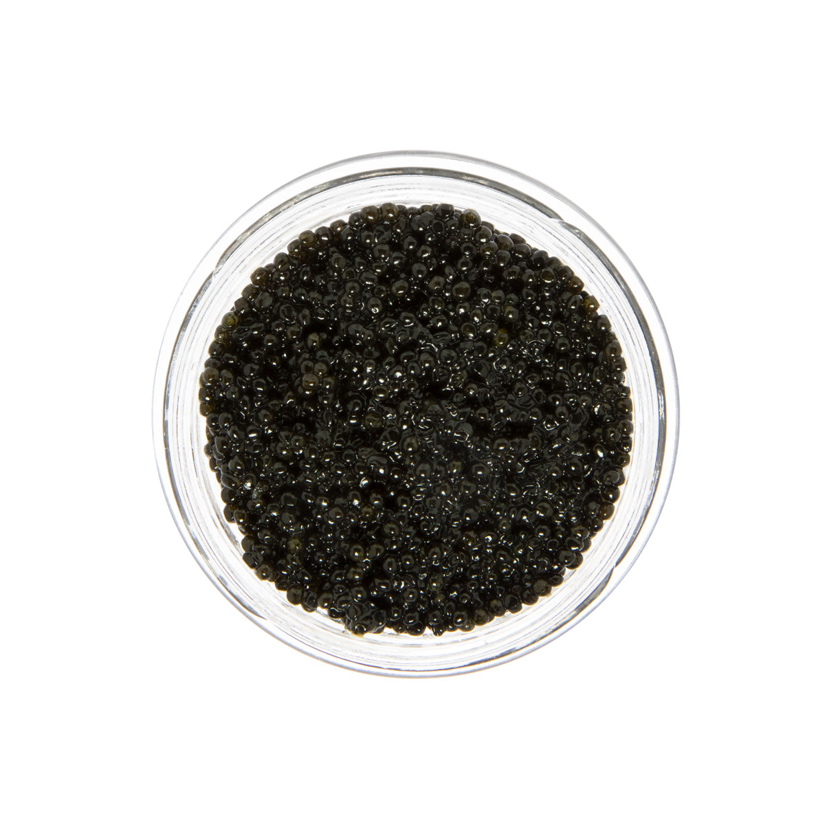 Caviar Star American Wild Hackleback Sturgeon Caviar