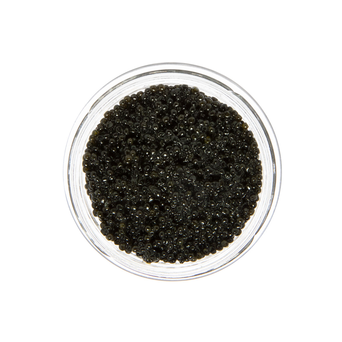 Wholesale Caviar Star American Wild Hackleback Sturgeon Caviar- Bulk