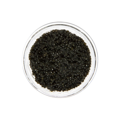 Wholesale Caviar Star American Wild Hackleback Sturgeon Caviar- Bulk