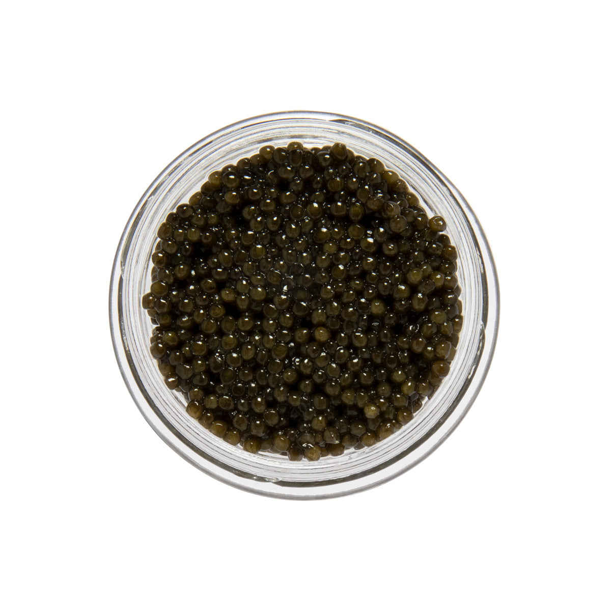 Caviar Star Amber Kaluga Hybrid Sturgeon Caviar