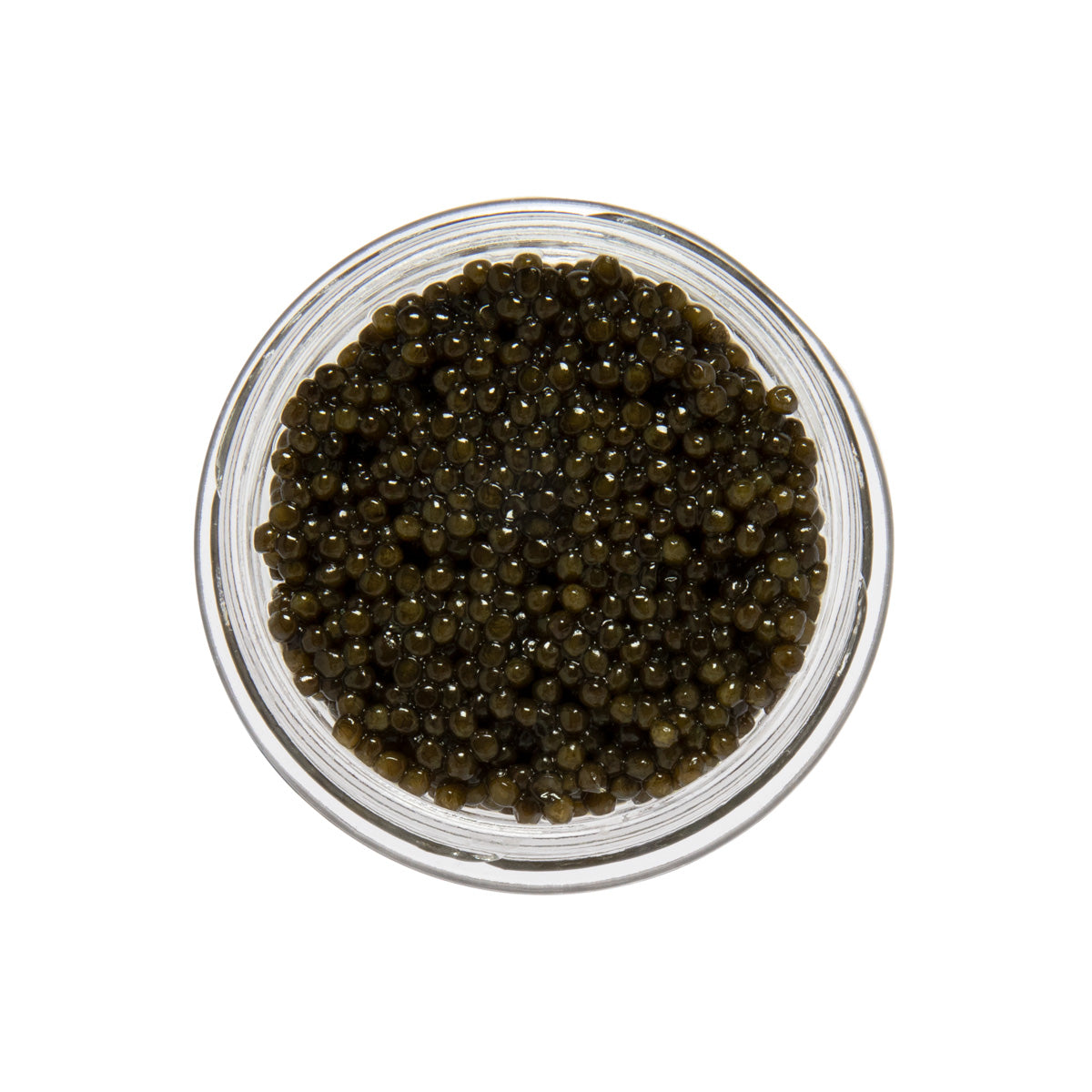 Wholesale Caviar Star Amber Kaluga Hybrid Sturgeon Caviar- Bulk